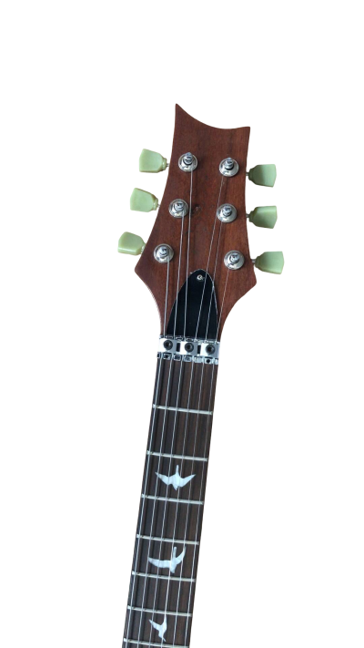 Custom Monarch Turquoise Blue Flame Maple Top Tremolo Guitar - Image 3