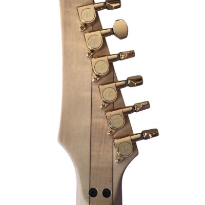 Custom Axis Plexiglass Acrylic Lucite LED Tremolo Guitar Jem Tree Of Life Inlay - Image 4