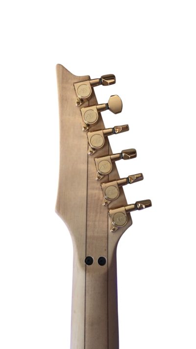 Custom Axis Plexiglass Acrylic Lucite LED Tremolo Guitar Jem Tree Of Life Inlay - Image 4