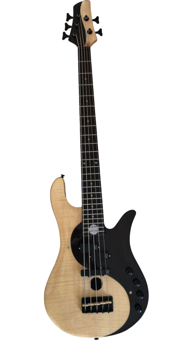 Custom Solis Victor Yin Yang Deluxe 5 String Dual Tone Wood Bass - Image 3