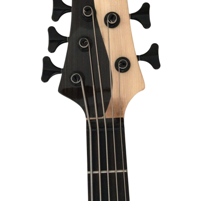 Custom Solis Victor Yin Yang Deluxe 5 String Dual Tone Wood Bass - Image 2