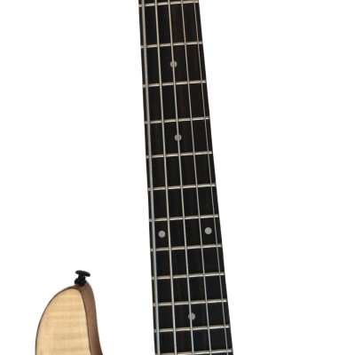 Custom Solis Victor Yin Yang Deluxe 5 String Dual Tone Wood Bass - Image 7