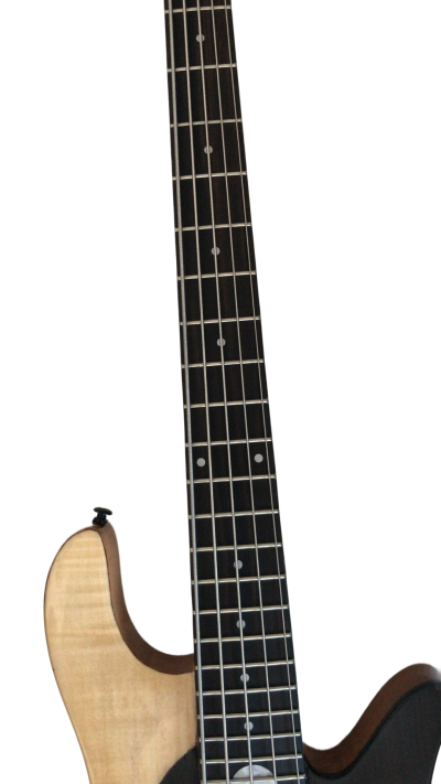 Custom Solis Victor Yin Yang Deluxe 5 String Dual Tone Wood Bass - Image 7