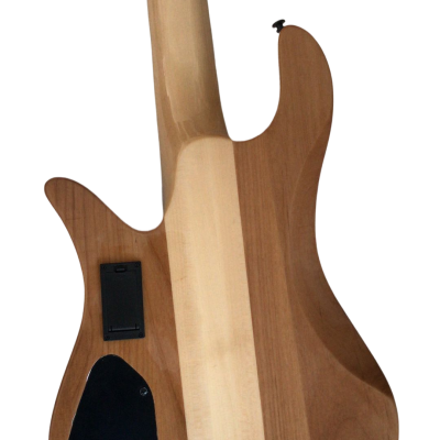 Custom Solis Victor Yin Yang Deluxe 5 String Dual Tone Wood Bass - Image 5