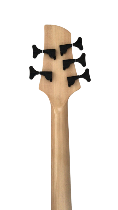 Custom Solis Victor Yin Yang Deluxe 5 String Dual Tone Wood Bass - Image 4