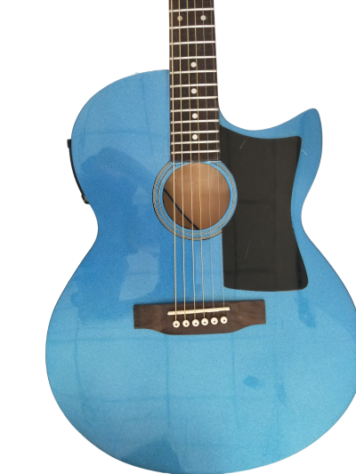 Custom Vile Barry S4CE BG Guild Pelham Blue Songbird Acoustic Electric Guitar