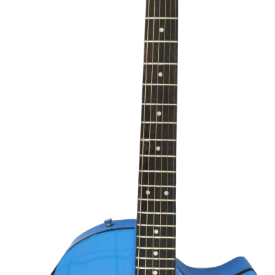 Custom Vile Barry S4CE BG Guild Blue Songbird Acoustic Electric Guitar - Image 6