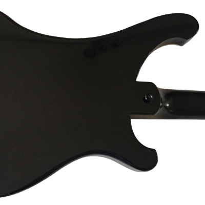Custom Nova 4003 Black Jetglo 4 String Bass Neck Through Body Personalized Body Design - Image 8
