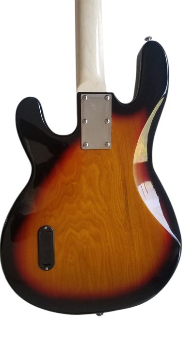 Custom Aether Sting Vintage Sunburst Ray4 String Bass - Image 4