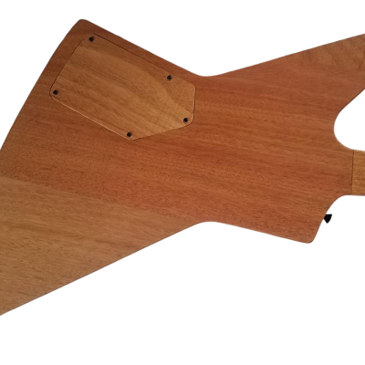 Custom Garnet James Hetfield Natural 6 String Electric Guitar - Image 5
