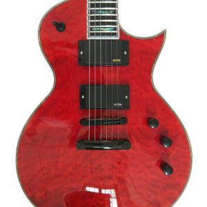 Custom Obsidian Deluxe EC1000 Electric Guitar See Thru Black Cherry