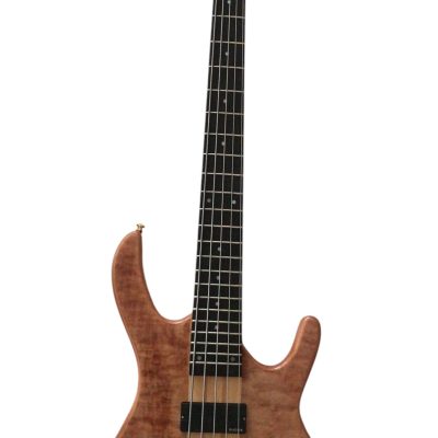 Custom Denver Elite BSR Quilted Maple 5 String Bass