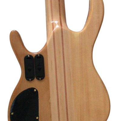 Custom Denver Elite BSR Quilted Maple 5 String Bass - Image 5
