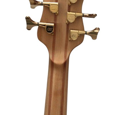 Custom Denver Elite BSR Quilted Maple 5 String Bass - Image 6