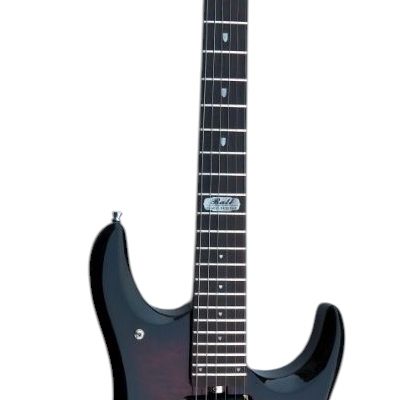 Custom Aether John Tiger Maple Top Ruby Burst Ernie Guitar - Image 3