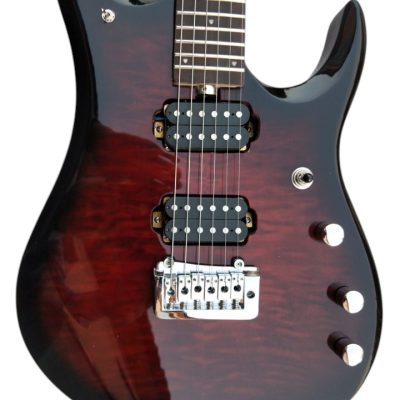Custom Aether John Tiger Maple Top Ruby Burst Ernie Guitar