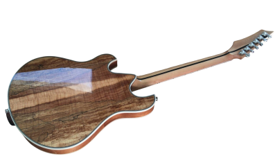 Custom Vesper Languedoc Region Trey Fhole Burl Maple Top Bracing Inside Electric Guitar - Image 2