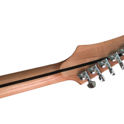 Custom Vesper Languedoc Region Trey Fhole Burl Maple Top Bracing Inside Electric Guitar - Image 3