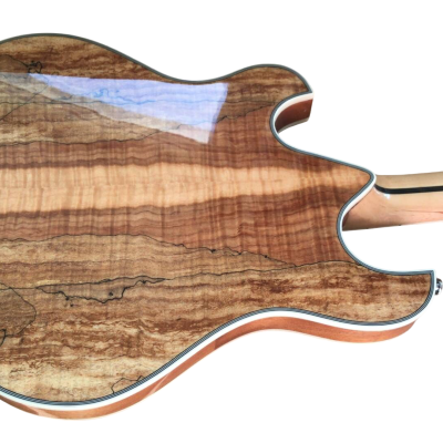 Custom Vesper Languedoc Region Trey Fhole Burl Maple Top Bracing Inside Electric Guitar - Image 4