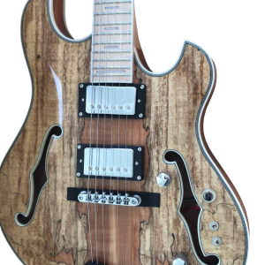Custom Vesper Trey Fhole Burl Maple Top Bracing Inside Electric Guitar