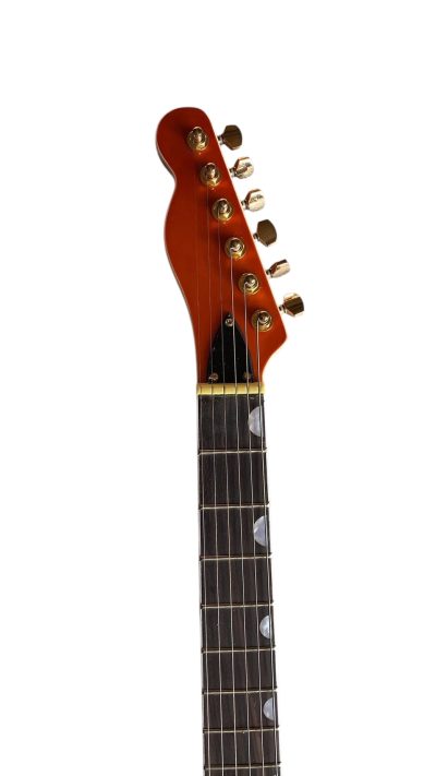 Custom Regent Paul Waller Arch Top Orange Bigsby Fhole Guitar Left Handed - Image 4