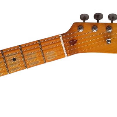 Custom Regent Pink Paisley Thinline Relic Dual P90 Pickups Fhole Electric Guitar - Image 14