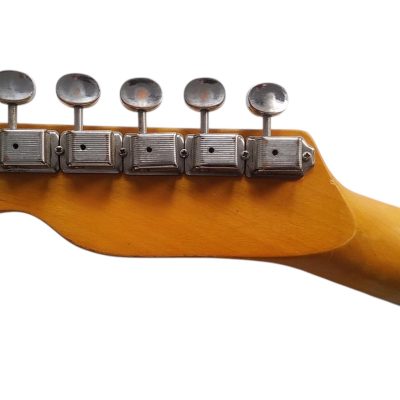 Custom Regent Pink Paisley Thinline Relic Dual P90 Pickups Fhole Electric Guitar - Image 9