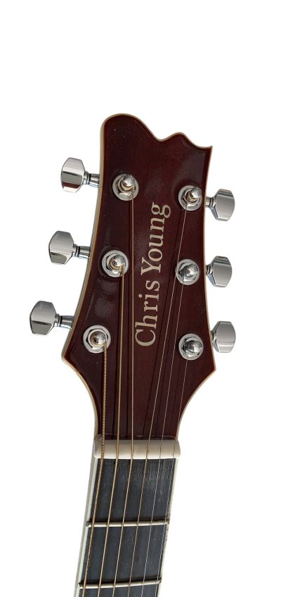 Custom Eclipse Harp Double Neck Brown Headstock Finish 6 String Acoustic Guitar 6 Sting Harp - Image 7