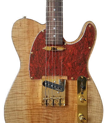 Custom Regent Tiger Maple TopTortoise Brown Pearl Pickguard 6 String Electric Guitar