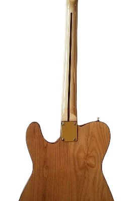 Custom Regent Tiger Maple TopTortoise Brown Pearl Pickguard 6 String Electric Guitar - Image 8