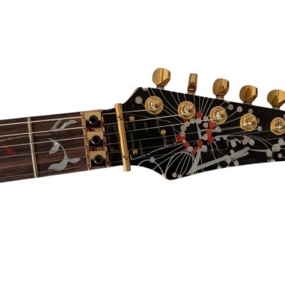 Custom Axis SVAI Floral Black Jem Electric Guitar - Image 7