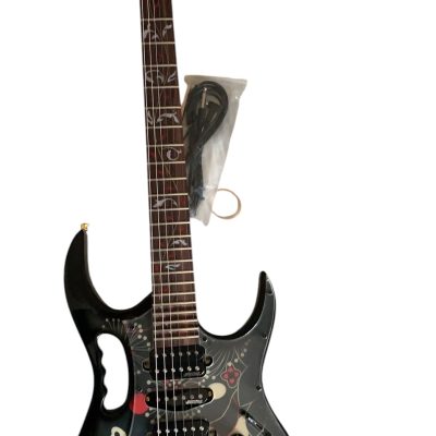Custom Axis SVAI Floral Black Jem Electric Guitar - Image 6