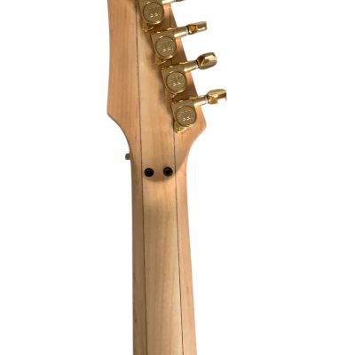 Custom Axis SVAI Floral Black Jem Electric Guitar - Image 3