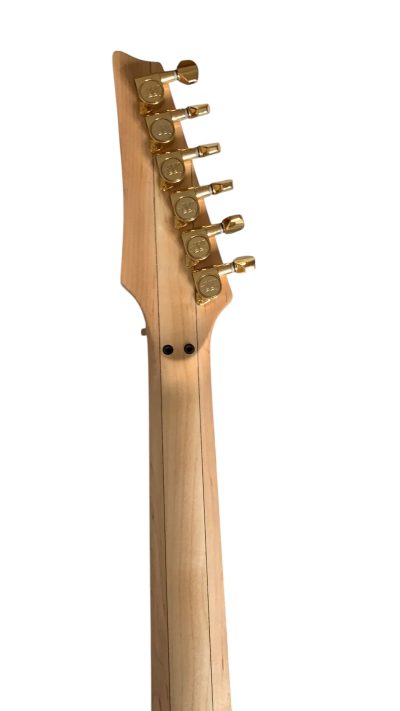 Custom Axis SVAI Floral Black Jem77 Electric Guitar - Image 3