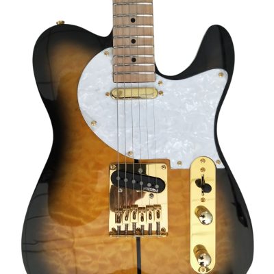 Custom Regent Merle Haggard Tuff Dog Trans Sunburst Guitar
