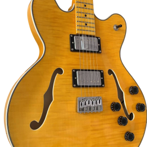 Custom Regent Fhole TV Yellow Tiger Maple Top Star Guitar