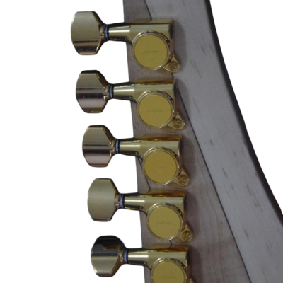Custom Axis Steve Double Neck White Jem 6 and 12 String Guitar Tree Of Life Inlay - Image 3