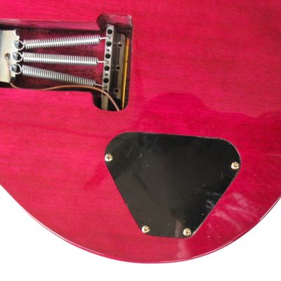 Custom Monarch Santana Pink Flame Maple Top Electric Guitar - Image 2