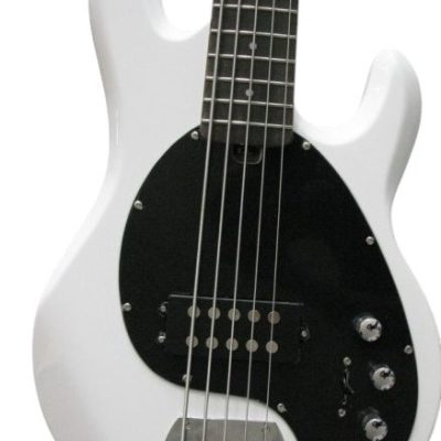 Custom Aether Sting Clifton White 5 String 1 Pickup Bass