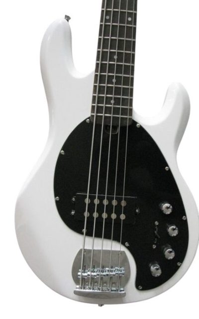 Custom Aether Sting Clifton White 5 String 1 Pickup Bass
