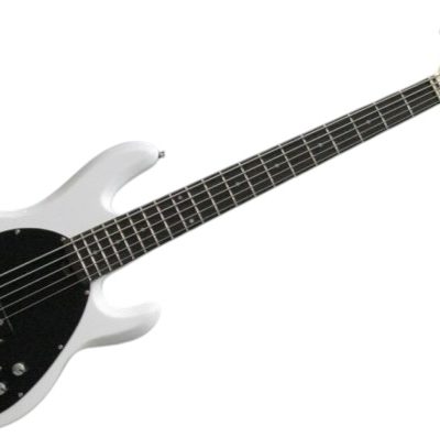 Custom Aether Sting Clifton White 5 String 1 Pickup Bass - Image 7