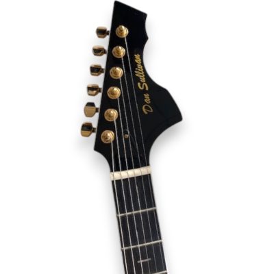 Custom Vesper Languedoc Region Fhole Bigsby Transparent Blue Spalted Maple Bracing Inside Electric Guitar - Image 6