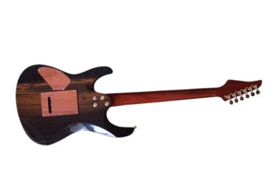 Custom Magnitude Waterfall Burl Maple Top Trans Green Guitar - Image 9