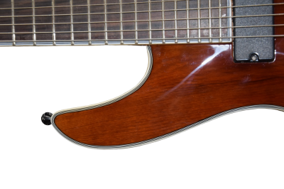 Custom Onyx Regius Transparent Amber Burst 8 String Guitar - Image 4