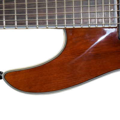 Custom Onyx Regius Transparent Amber Burst 8 String Guitar - Image 4
