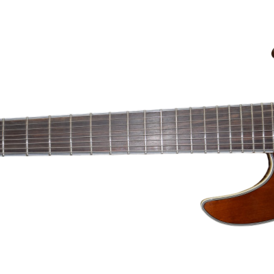 Custom Onyx Regius Transparent Amber Burst 8 String Guitar - Image 6
