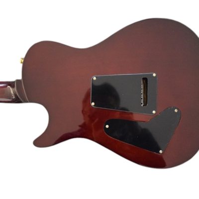 Custom Monarch SE Private Tree Of Life Quilted Maple Top Electric Guitar - Image 16
