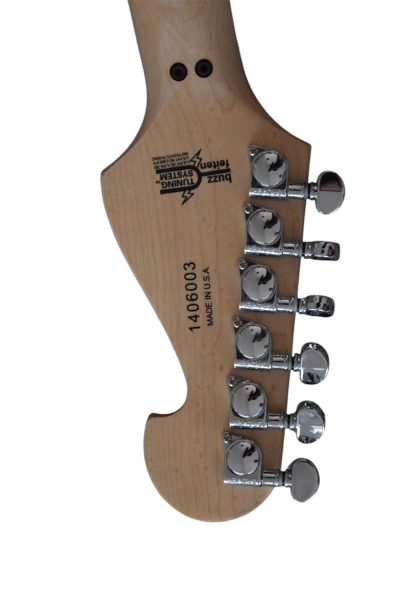 Custom Aurelius Nuno N4 Bettencourt Electric Guitar Floyd Rose Tremolo - Image 5