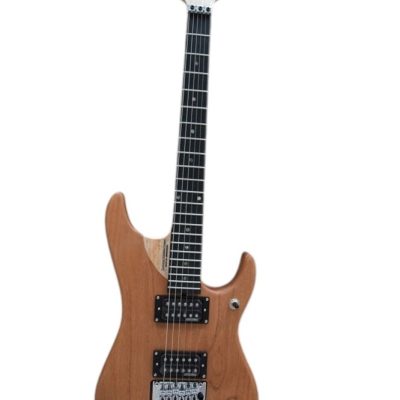 Custom Aurelius Nuno N4 Bettencourt Electric Guitar Floyd Rose Tremolo