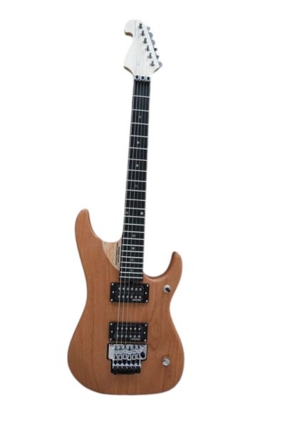 Custom Aurelius Nuno N4 Bettencourt Electric Guitar Floyd Rose Tremolo